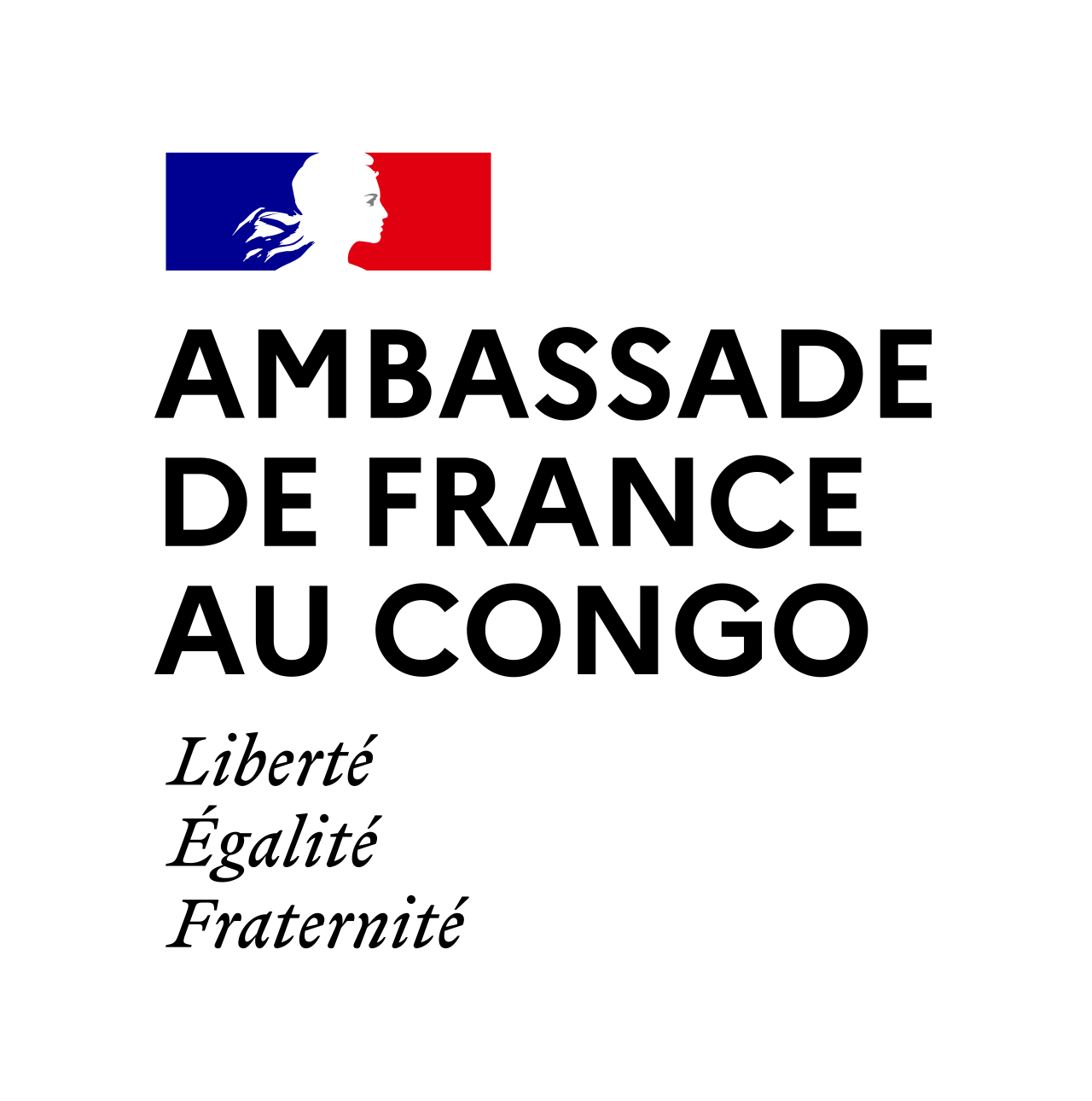Ambassade de France au Congo